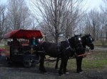 CCA Sugar Bush April 3, 2010 STANLEYs.-horses