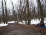 ...the long and wndy way to the Sugar Bush